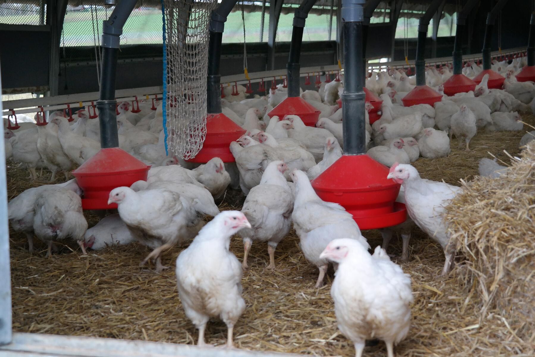 Företaget krävs på 50 000 kronor i böter. Arkivbild.