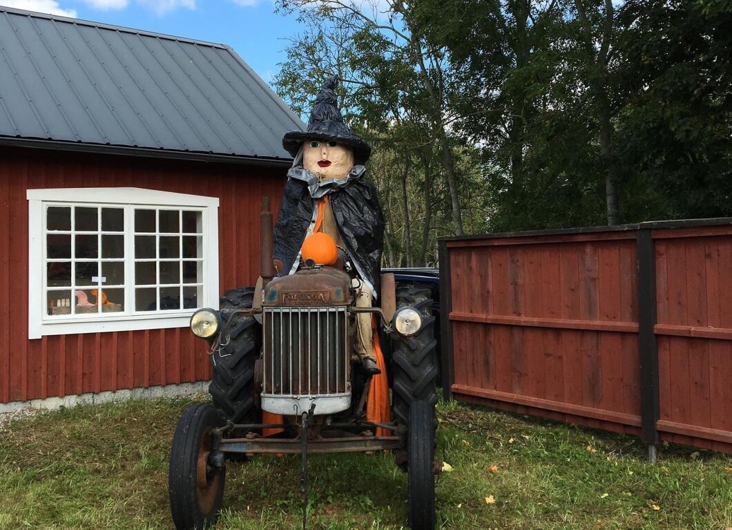 Traktorhäxa.