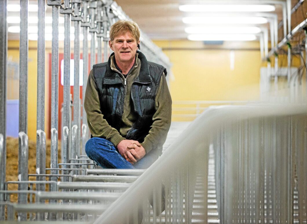 Örjan och Anna Bertilsson driver Persgård i Varberg. Deras suggor är de mest produktiva i Sverige.