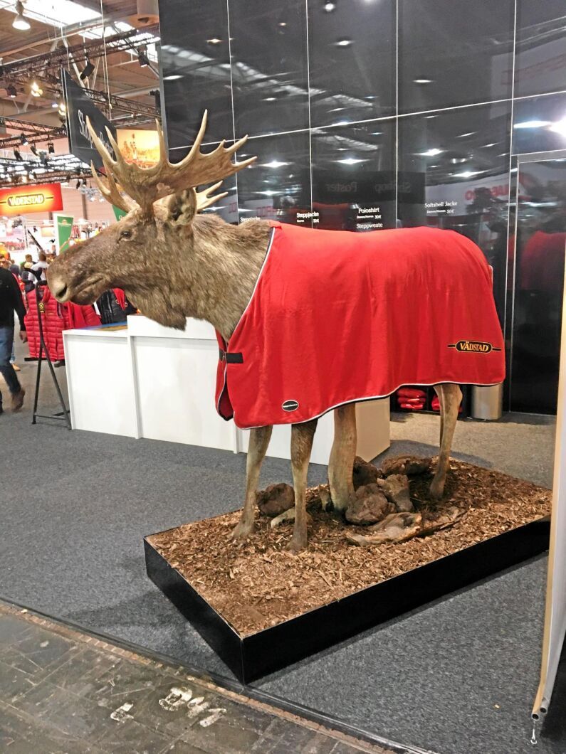 Väderstad tog hjälp av skogens konung i sin monter.