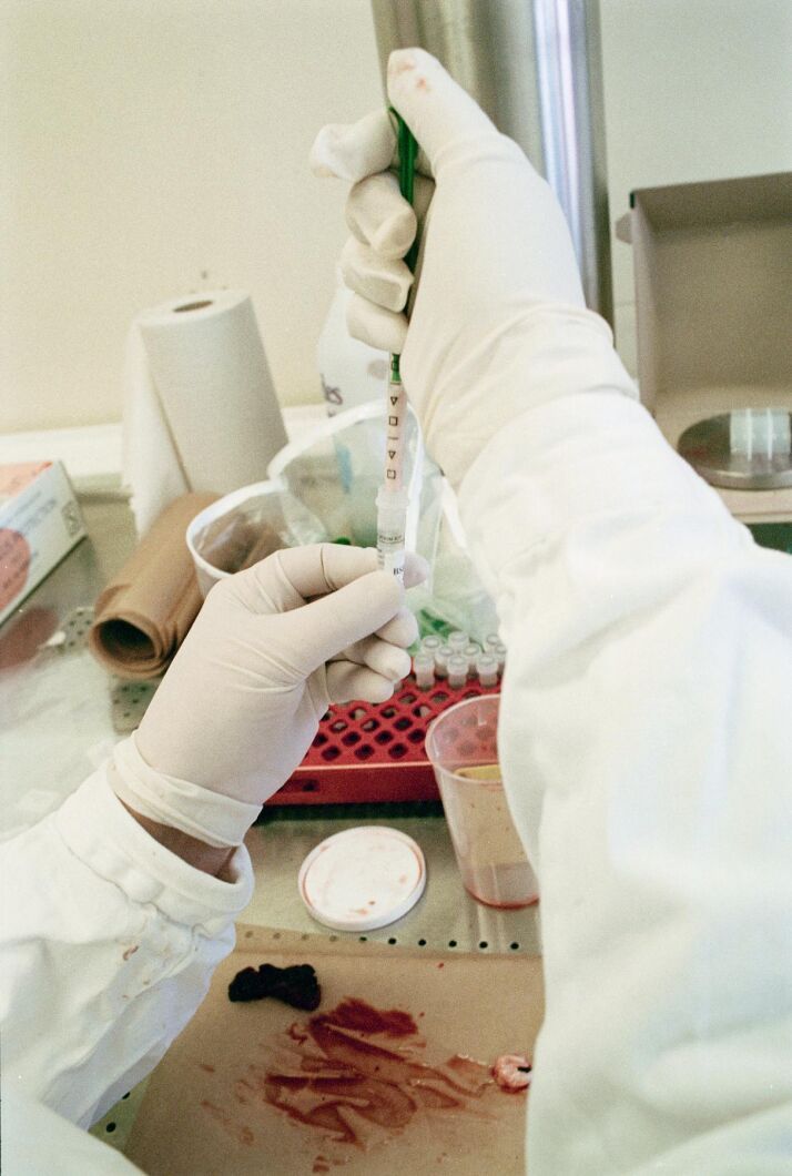 [STOR] SVA tar sig an fåglar från hela landet och undersöker dem för fågelinfluensan.