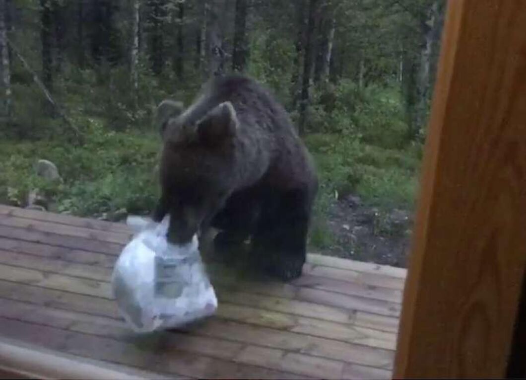 Juho Liikanen bor i Helsingfors, men har sommarstuga utanför Kuusamo nära gränsen till Ryssland.