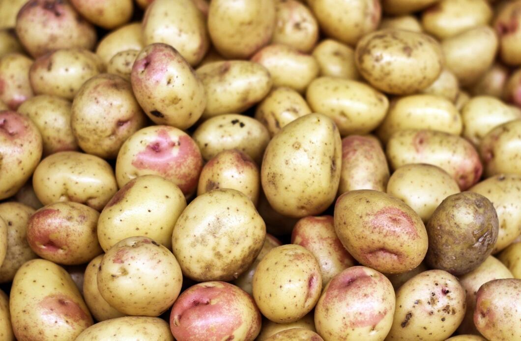 Eskilstuna kommun tänker överklaga den så kallade potatistvisten.