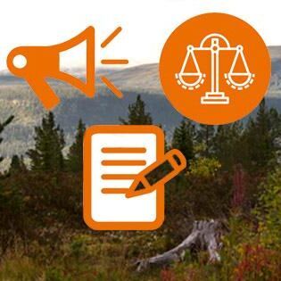 Grafik: Så ledde Änokfallet fram till dagens tvister