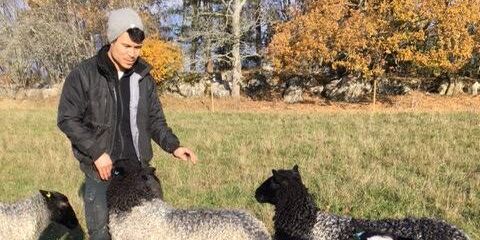 Ett pris blev två i Årets fårföretagare