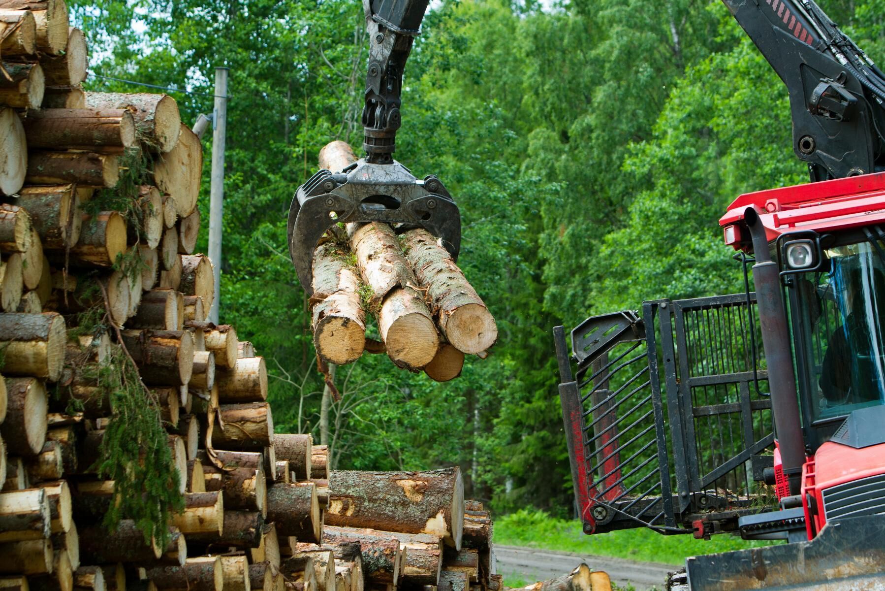 Bär- och skogsindustrin kan komma att påverkas av regeringens nya förslag angående utländsk arbetskraft.