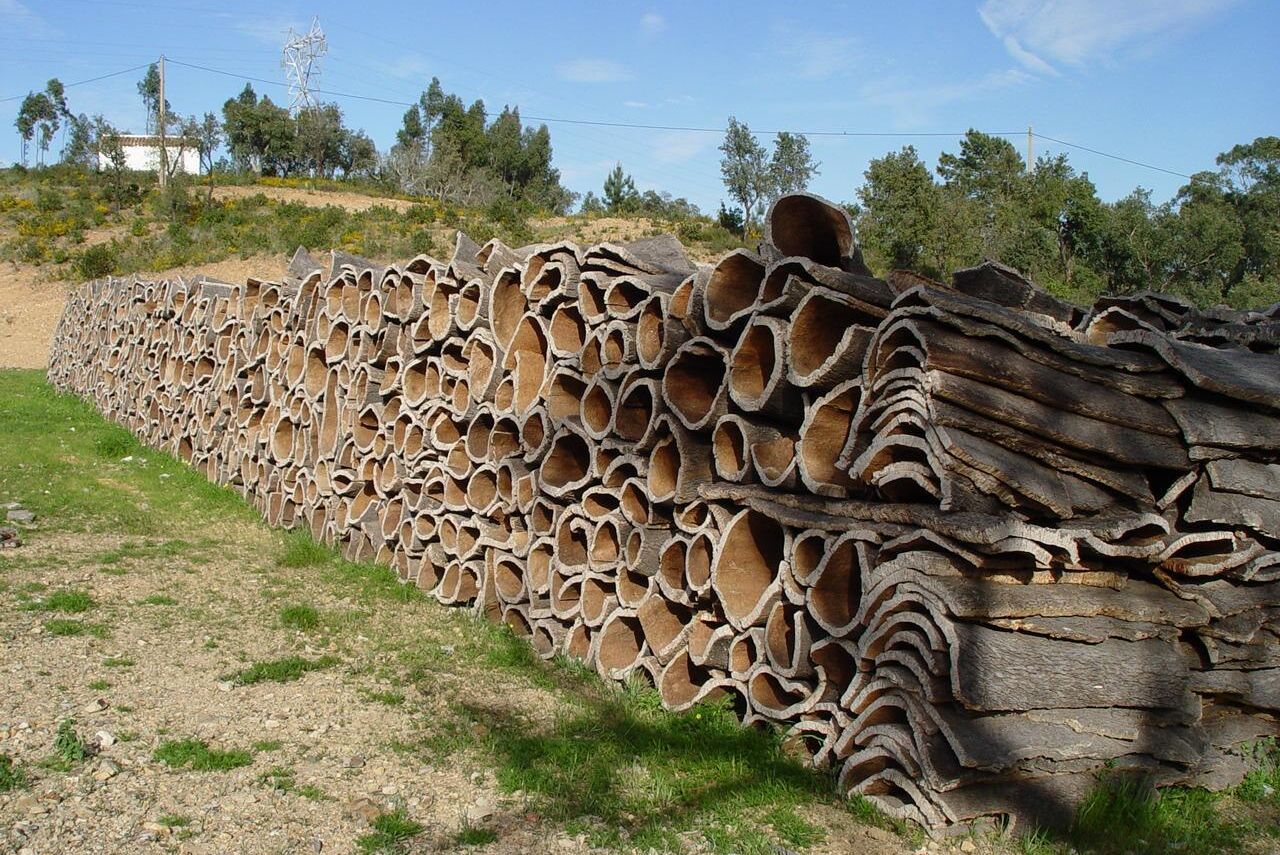 Nyskördad korkbark på tork i sydportugisiska Algarve. Torkningen varar ungefär ett år.