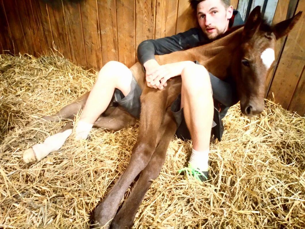 Emelie Gustafsson tog bilden på fölet och sambon Samuel Hansson när försöket att strecha slutade med att fölet lade sig i knät.