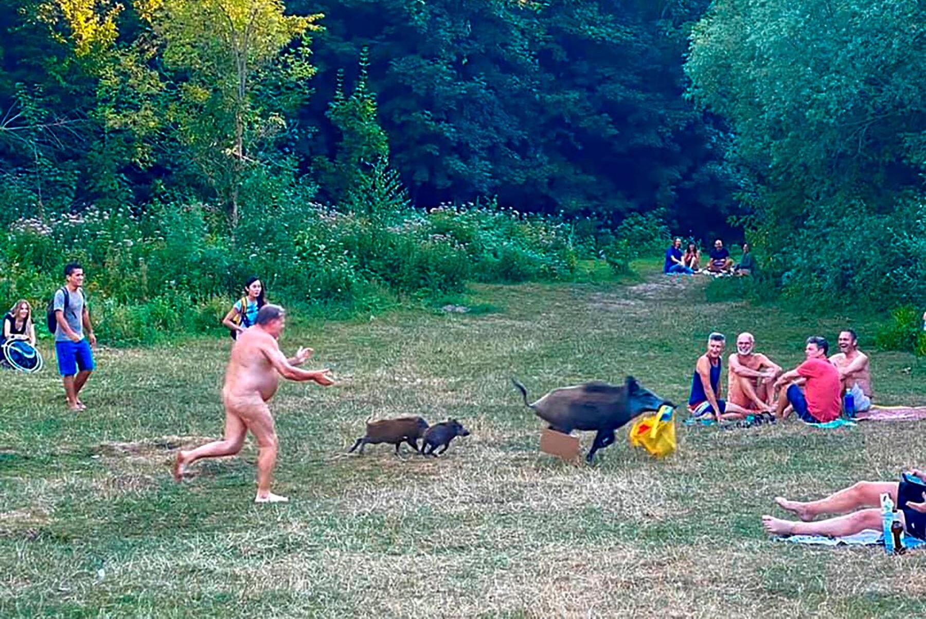 Solbadaren i Berlin som räddade sin dator undan det tjuvaktiga vildsvinet Elsa blev snabbt viral.