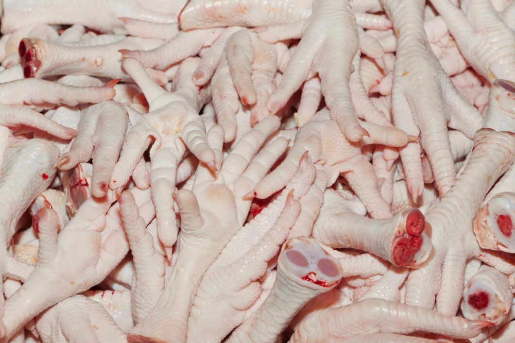 2000 ton kycklingfötter ville ryssarna köpa på Thise Mejeri - men allt var en bluff.