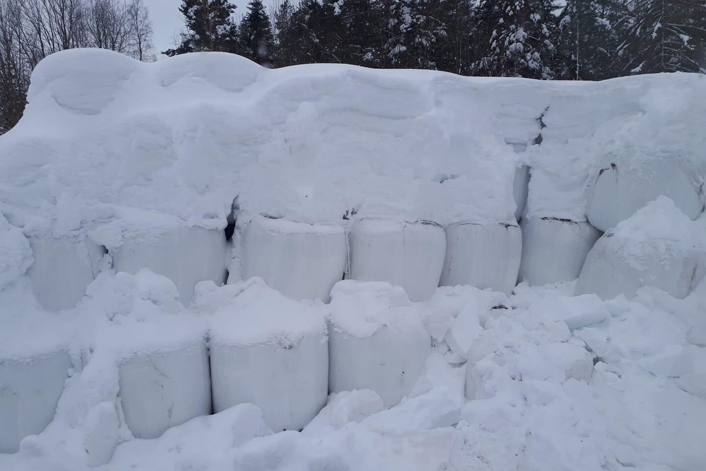 15 minusgrader i Selånger, Sundsvall och långt till våren, skriver Anders Sundquist