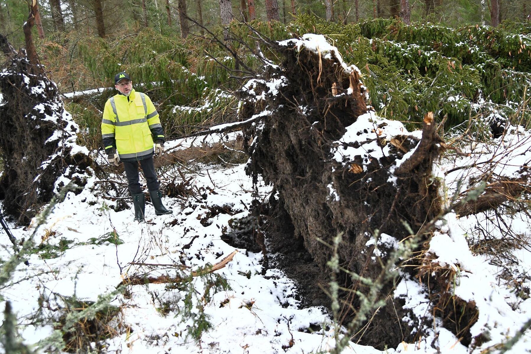 Stormen slog särskilt hårt mot Norrtälje kommun.