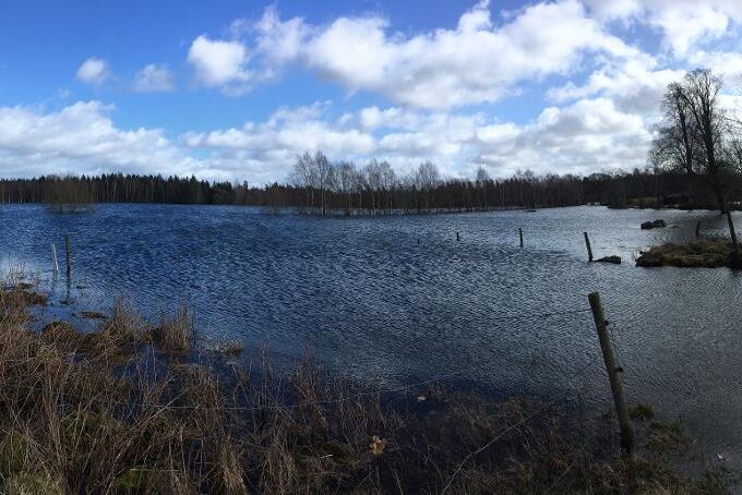 Sedan bilden togs har vattenståndet på Malin Holmquists marker blivit så högt att det inte längre går att se staketstolparna som här syns i bild.