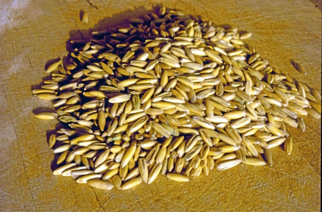 Grain Café serverar vad de heter - spannmål, bland annat i form av havregrynsgröt.