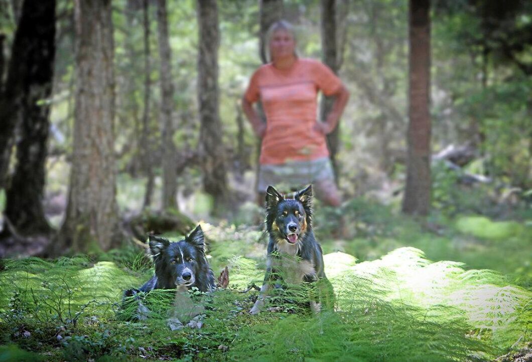 Maria Brandel är en av deltagarna i det svenska lydnadslandslaget.