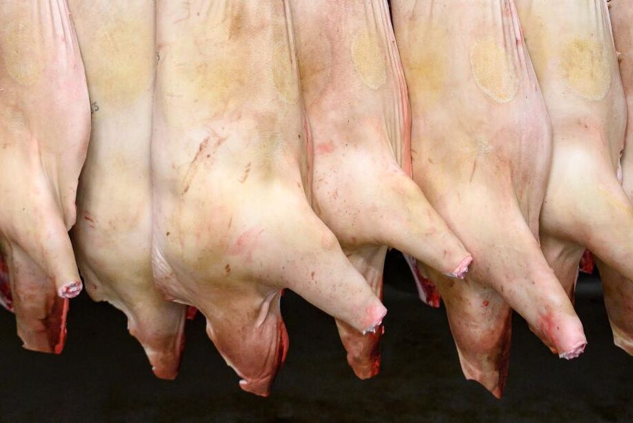 Ett slakteri i Västra Götaland fälls för miljöbrott (arkivbild).