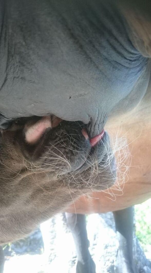 Ett alldeles speciellt ögonblick fångat i en annorlunda vinkel av Madeleine Elgtberg i Säffle.