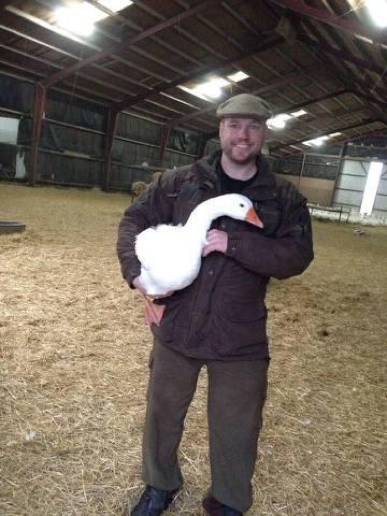 Björn Olson på Viking Fågel menar att ha gäss inomhus är som att ha akvariefiskar utan vatten.