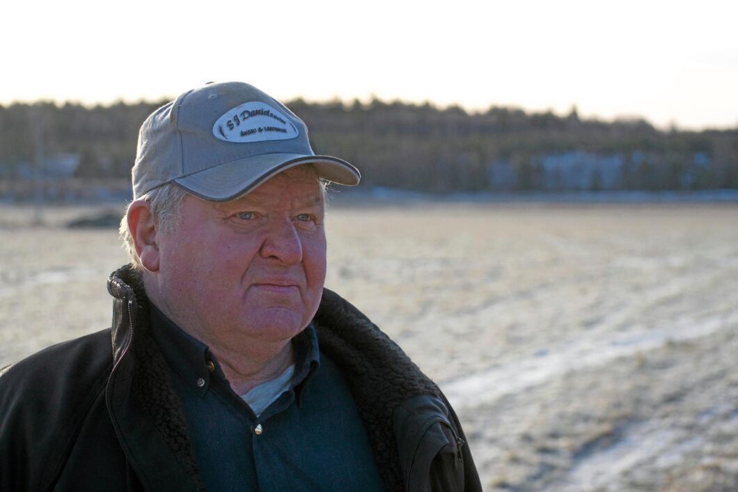 Både forskarna vid SLU och Skogsstyrelsen vill att Sten Ivan Danielsson tar ner det angripna tallbeståndet, flisar och bränner det. Med det skulle bli dyrt, och det är Sten Ivan som får stå för kostnaden.