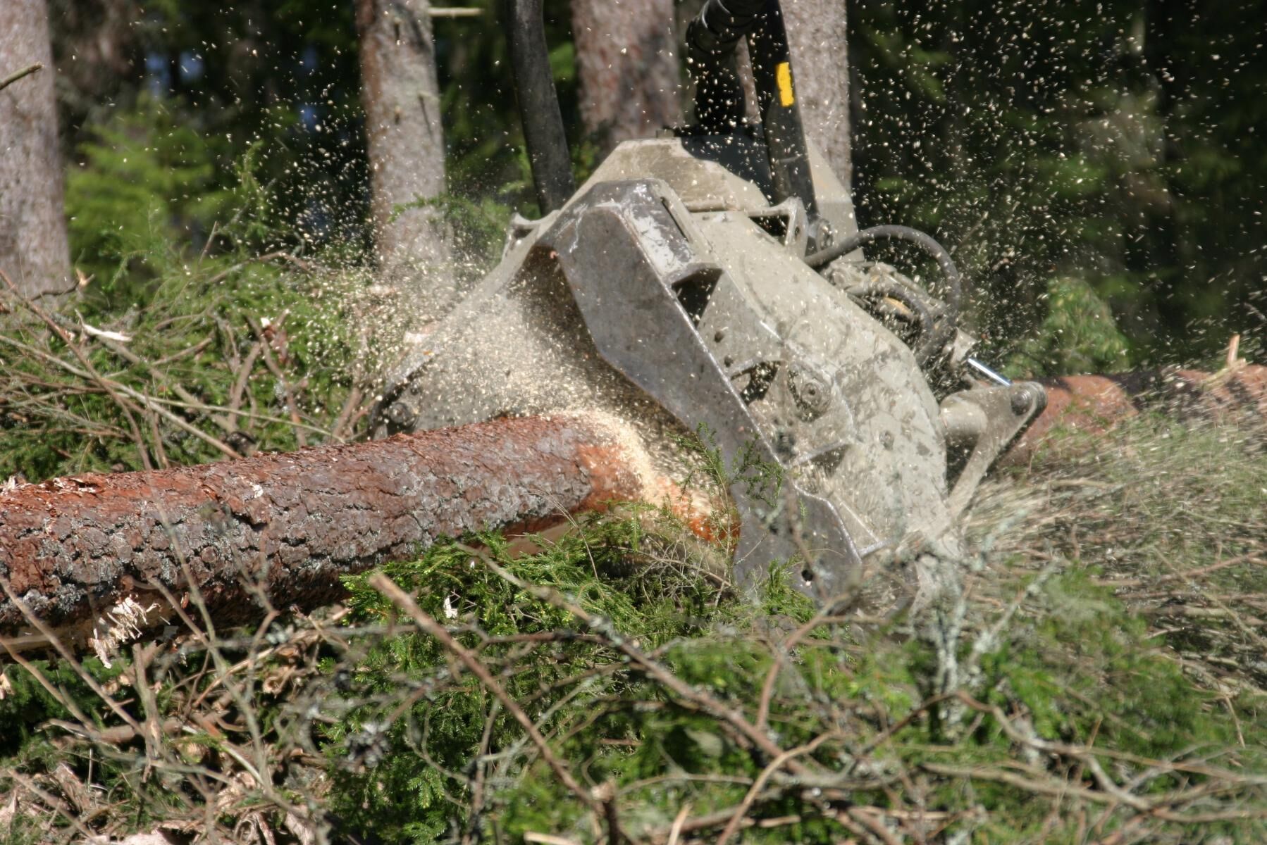 Rottnes skördaraggregat EGS700 in action.