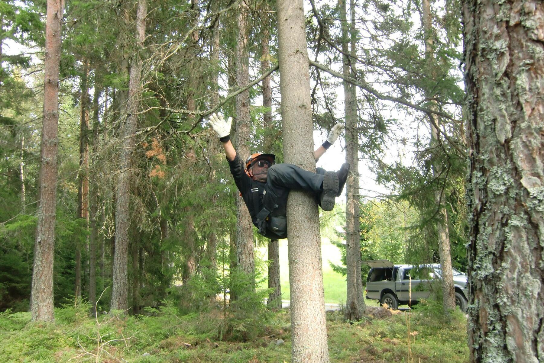 Varför gå till gymmet när man har skogen runt knuten? frågar sig skogsägaren Kjell Ribers.