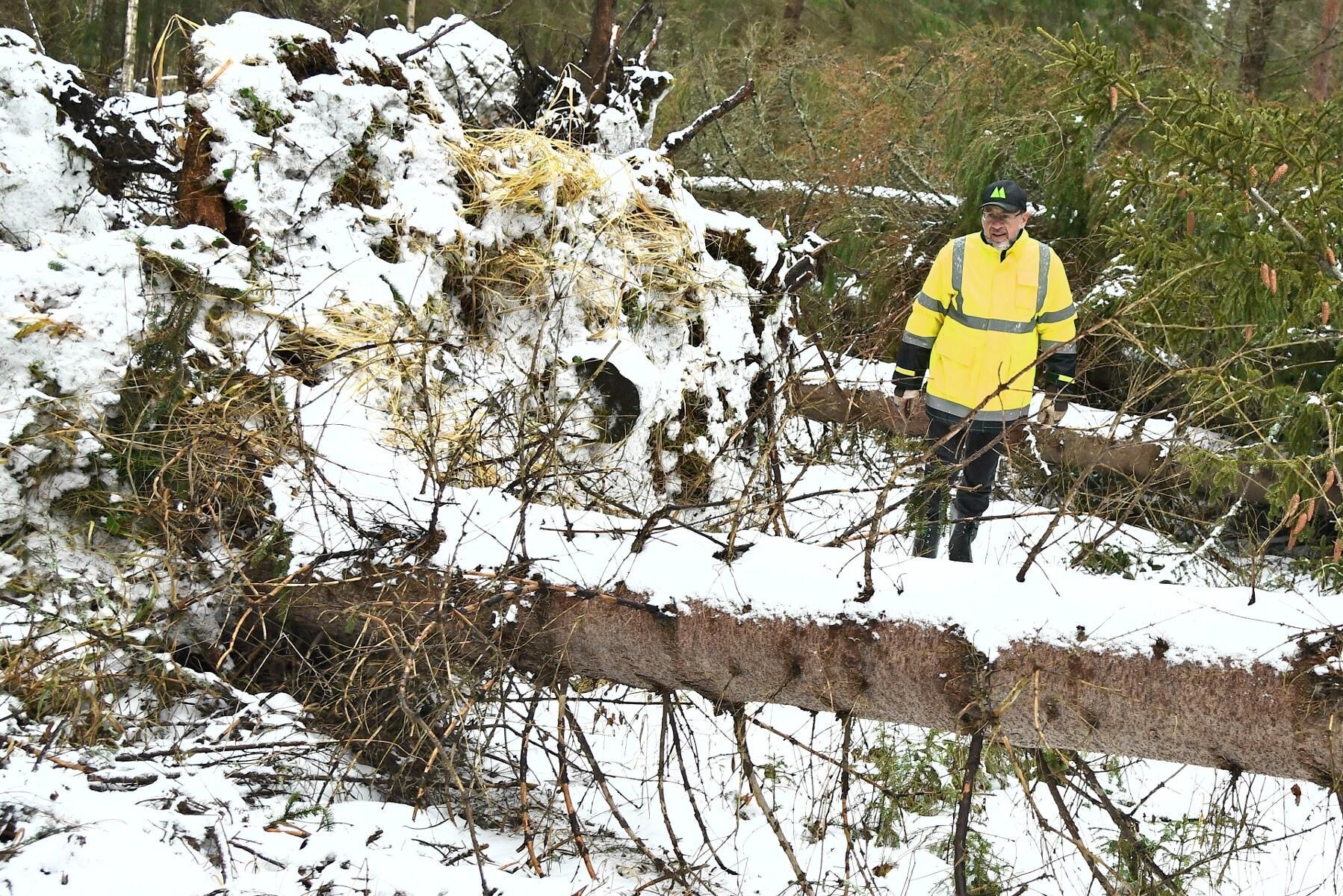 Stefan Lindskog inspekterar sina ägor norr om Rimbo i Uppland.