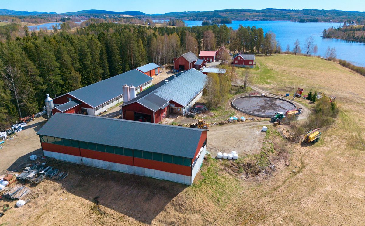 Näsbacka gård - Mjölkgård i Örnsköldsvik