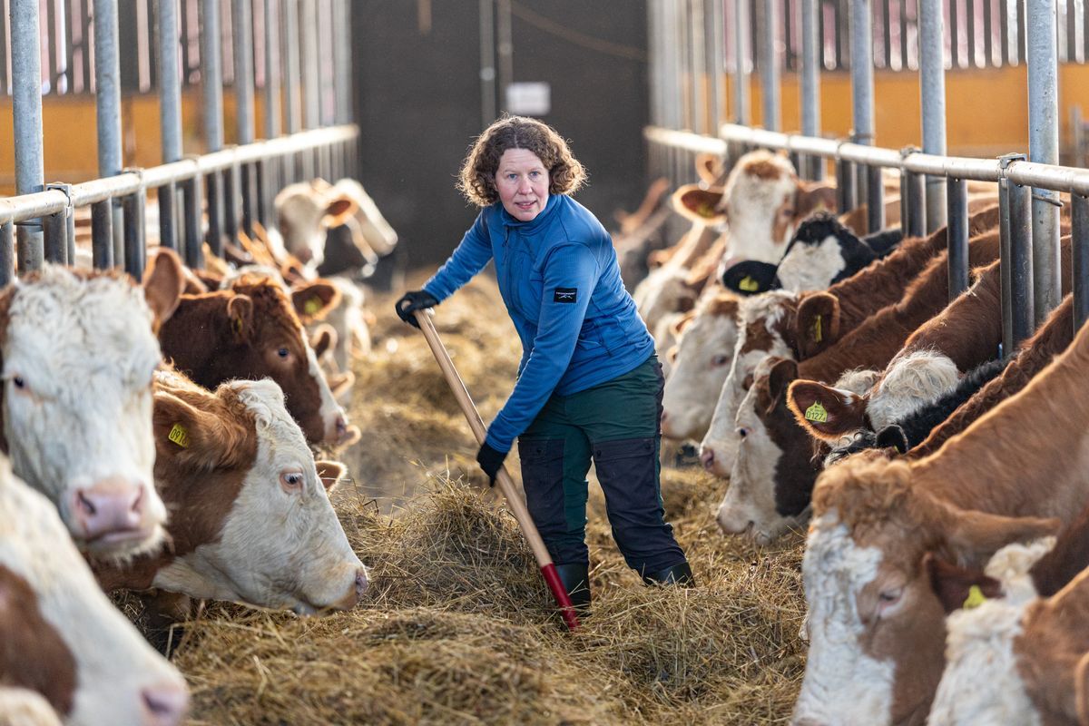 Marie Larsson, Enkullens gård i Kristinehamn.
