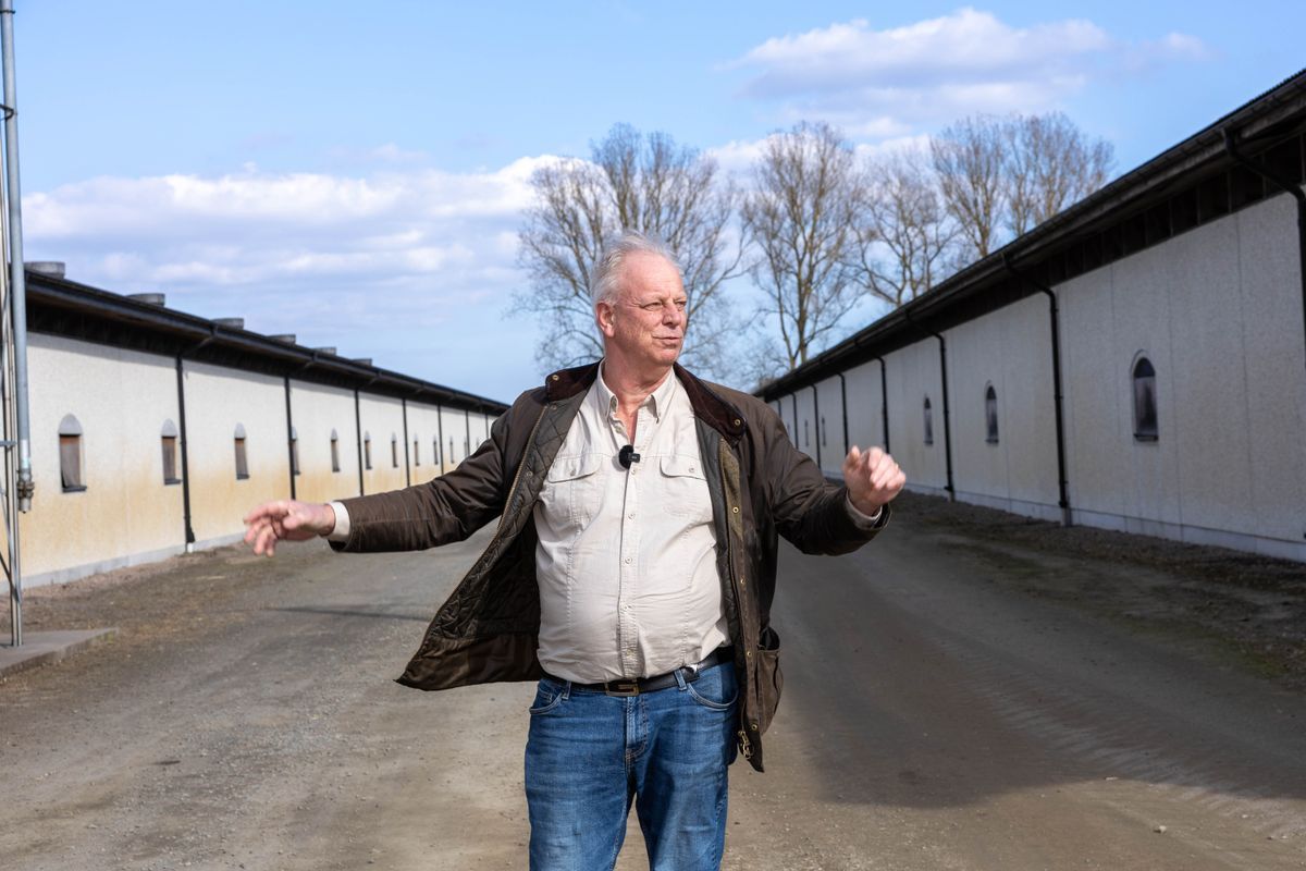 Per Lindahl står mellan de två första kycklingstallen.