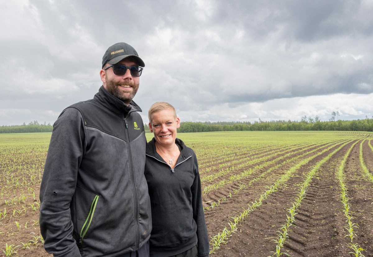 Erik och Tina Johansson driver Klockaregården på Blomsö. Lantbrukarparet på en åker som tidigare var skog.
