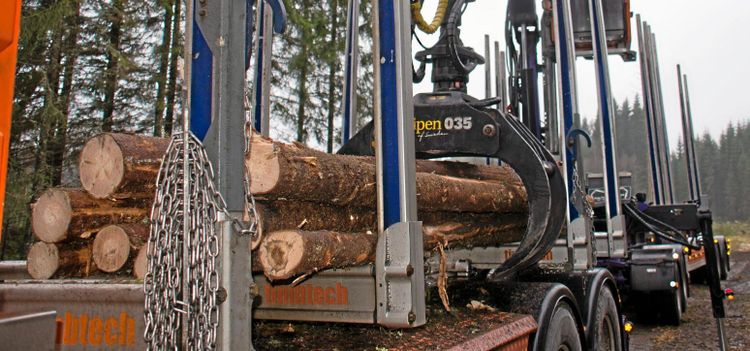 Svenskt Trä vill in på den indiska marknaden