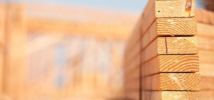 Personalbrist svår nöt att knäcka för träindustrin