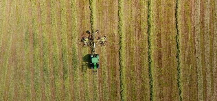 Odlingsåret från ovan