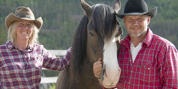 Ger travhästar ny karriär