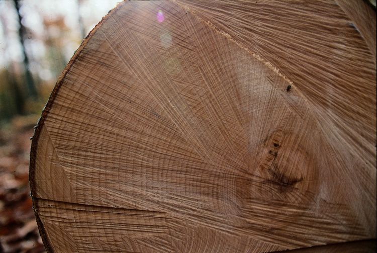 Vändning på gång för Bergs