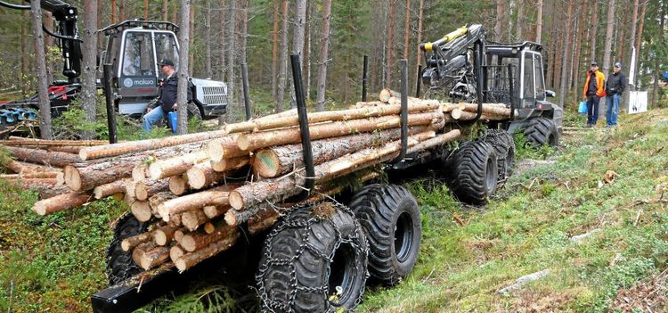 Liten mässa med bra besökare