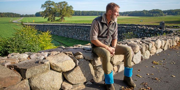 Maltesholm får stopp för skog i öppet landskap