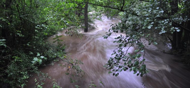 Stor oro för höga flöden