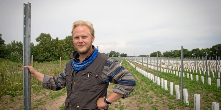 Skånsk vingård storsatsar