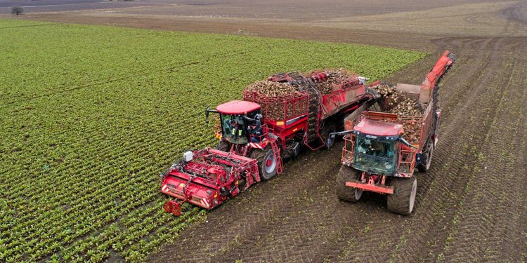 Mindre jord i maskinen med ny plog till upptagaren