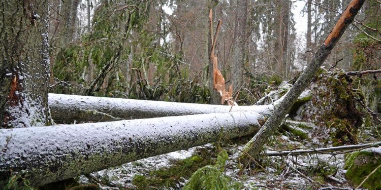 Roslagen bävar inför 2020