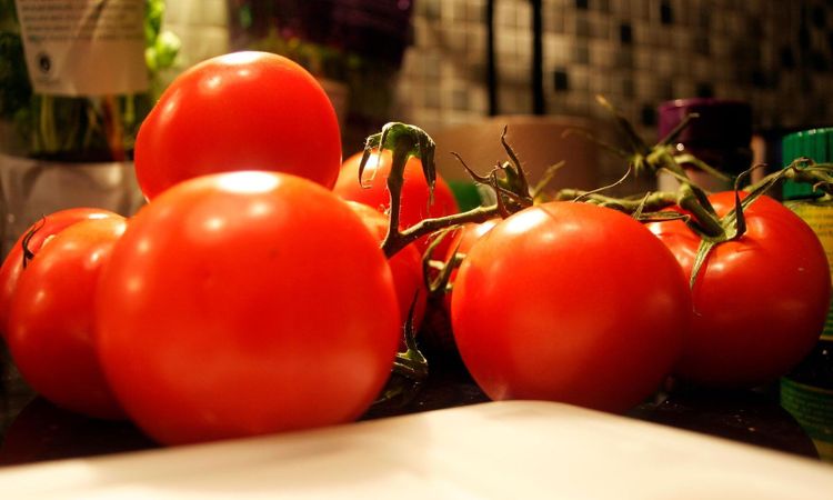 Tio miljoner investerade i Peckas Naturodlingar