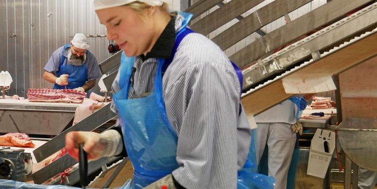 Bytte jobb och blev vass med kniven