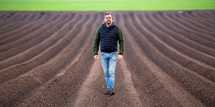 Testar potatis för att öka lönsamheten