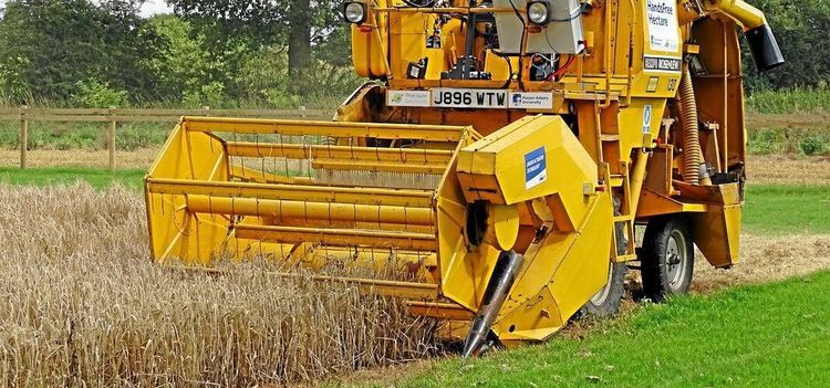 Se robottröskan skörda själv