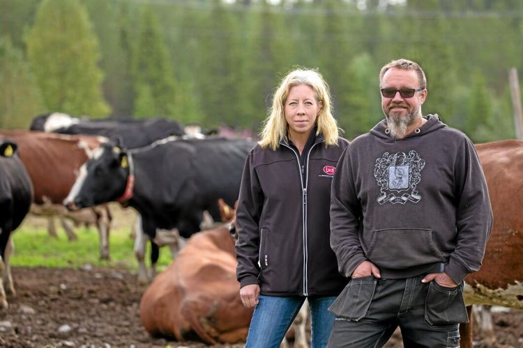 Odlar på 200 skiften – ändå brist på foder