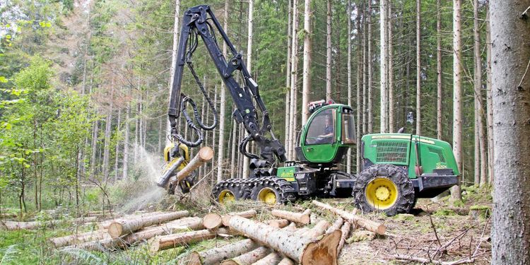 Avverkningsrusch i Blekinge