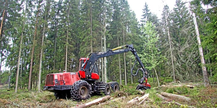 Klirr i kassan för finländska skogsägare