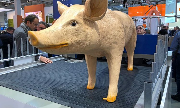 Nya gristoan ska ge bättre livsmiljö