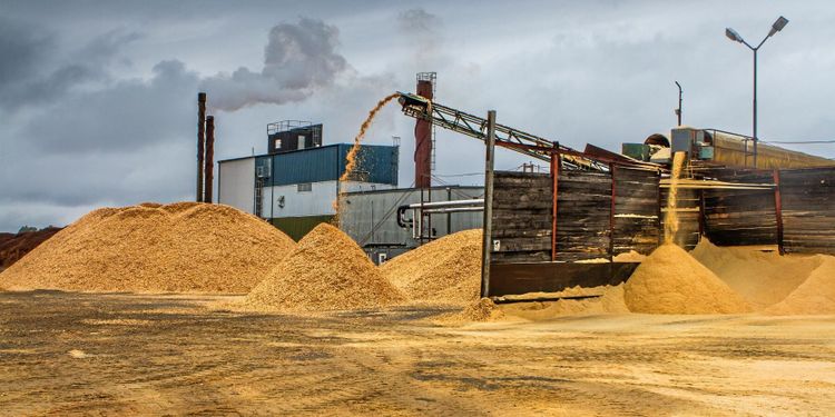 Här är utmaningarna för Norrskogs nya ordförande